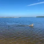 In Erster Reihe - Direkter Strandzugang - Eingezaeunter Garten - Dachterrasse - 2 Gartenterrassen - Terrassendach - Grill Mit Plancha - 5-sterne-meerblick - Bar - Kamin - Soundanlage - Pool Whirlpool - Kinderfreundlich - Hunde Willkommen Villa