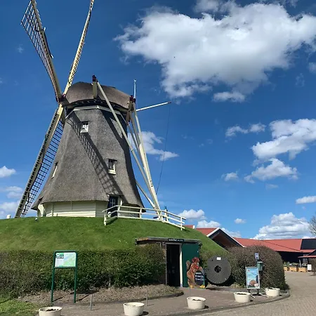 In Erster Reihe - Direkter Strandzugang - Eingezaeunter Garten - Dachterrasse - 2 Gartenterrassen - Terrassendach - Grill Mit Plancha - 5-sterne-meerblick - Bar - Kamin - Soundanlage - Pool Whirlpool - Kinderfreundlich - Hunde Willkommen ヴィラ *