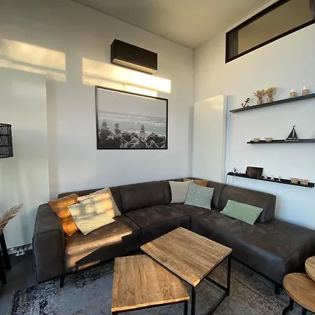 In Erster Reihe - Direkter Strandzugang - Eingezaeunter Garten - Dachterrasse - 2 Gartenterrassen - Terrassendach - Grill Mit Plancha - 5-sterne-meerblick - Bar - Kamin - Soundanlage - Pool Whirlpool - Kinderfreundlich - Hunde Willkommen Villa Hulshorst