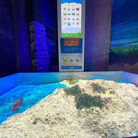 In Erster Reihe - Direkter Strandzugang - Eingezaeunter Garten - Dachterrasse - 2 Gartenterrassen - Terrassendach - Grill Mit Plancha - 5-sterne-meerblick - Bar - Kamin - Soundanlage - Pool Whirlpool - Kinderfreundlich - Hunde Willkommen フルスホルスト