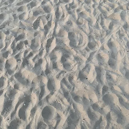 ヴィラ In Erster Reihe - Direkter Strandzugang - Eingezaeunter Garten - Dachterrasse - 2 Gartenterrassen - Terrassendach - Grill Mit Plancha - 5-sterne-meerblick - Bar - Kamin - Soundanlage - Pool Whirlpool - Kinderfreundlich - Hunde Willkommen *