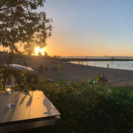 Villa In Erster Reihe - Direkter Strandzugang - Eingezaeunter Garten - Dachterrasse - 2 Gartenterrassen - Terrassendach - Grill Mit Plancha - 5-sterne-meerblick - Bar - Kamin - Soundanlage - Pool Whirlpool - Kinderfreundlich - Hunde Willkommen Hulshorst