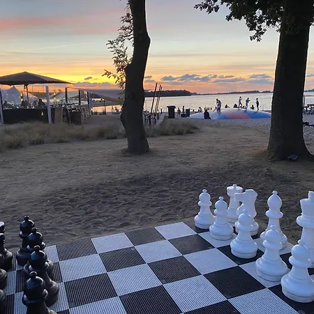 In Erster Reihe - Direkter Strandzugang - Eingezaeunter Garten - Dachterrasse - 2 Gartenterrassen - Terrassendach - Grill Mit Plancha - 5-sterne-meerblick - Bar - Kamin - Soundanlage - Pool Whirlpool - Kinderfreundlich - Hunde Willkommen *