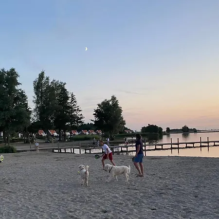 In Erster Reihe - Direkter Strandzugang - Eingezaeunter Garten - Dachterrasse - 2 Gartenterrassen - Terrassendach - Grill Mit Plancha - 5-sterne-meerblick - Bar - Kamin - Soundanlage - Pool Whirlpool - Kinderfreundlich - Hunde Willkommen Villa *