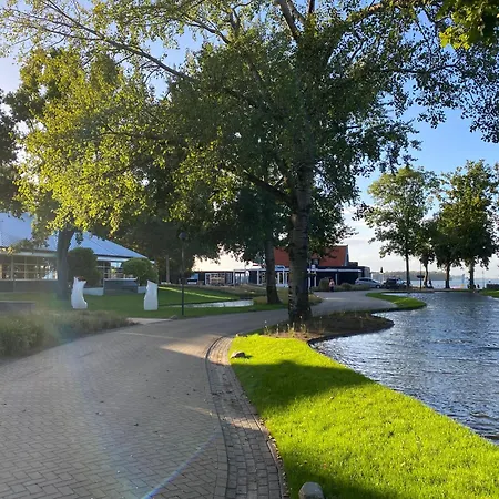 In Erster Reihe - Direkter Strandzugang - Eingezaeunter Garten - Dachterrasse - 2 Gartenterrassen - Terrassendach - Grill Mit Plancha - 5-sterne-meerblick - Bar - Kamin - Soundanlage - Pool Whirlpool - Kinderfreundlich - Hunde Willkommen Villa Hulshorst