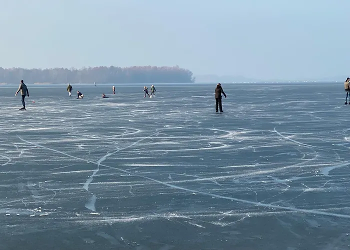 In Erster Reihe - Direkter Strandzugang - Eingezaeunter Garten - Dachterrasse - 2 Gartenterrassen - Terrassendach - Grill Mit Plancha - 5-sterne-meerblick - Bar - Kamin - Soundanlage - Pool Whirlpool - Kinderfreundlich - Hunde Willkommen *