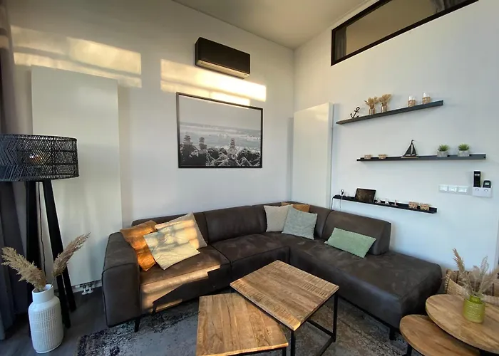 In Erster Reihe - Direkter Strandzugang - Eingezaeunter Garten - Dachterrasse - 2 Gartenterrassen - Terrassendach - Grill Mit Plancha - 5-sterne-meerblick - Bar - Kamin - Soundanlage - Pool Whirlpool - Kinderfreundlich - Hunde Willkommen Villa Hulshorst