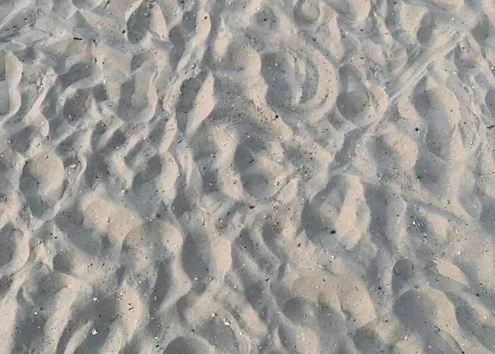 Villa In Erster Reihe - Direkter Strandzugang - Eingezaeunter Garten - Dachterrasse - 2 Gartenterrassen - Terrassendach - Grill Mit Plancha - 5-sterne-meerblick - Bar - Kamin - Soundanlage - Pool Whirlpool - Kinderfreundlich - Hunde Willkommen *