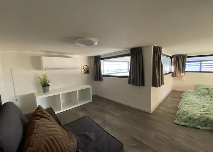 In Erster Reihe - Direkter Strandzugang - Eingezaeunter Garten - Dachterrasse - 2 Gartenterrassen - Terrassendach - Grill Mit Plancha - 5-sterne-meerblick - Bar - Kamin - Soundanlage - Pool Whirlpool - Kinderfreundlich - Hunde Willkommen Villa Hulshorst