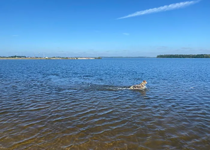 In Erster Reihe - Direkter Strandzugang - Eingezaeunter Garten - Dachterrasse - 2 Gartenterrassen - Terrassendach - Grill Mit Plancha - 5-sterne-meerblick - Bar - Kamin - Soundanlage - Pool Whirlpool - Kinderfreundlich - Hunde Willkommen Villa