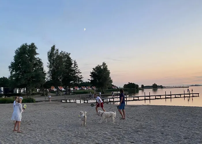In Erster Reihe - Direkter Strandzugang - Eingezaeunter Garten - Dachterrasse - 2 Gartenterrassen - Terrassendach - Grill Mit Plancha - 5-sterne-meerblick - Bar - Kamin - Soundanlage - Pool Whirlpool - Kinderfreundlich - Hunde Willkommen Villa *
