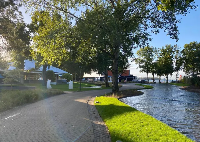 In Erster Reihe - Direkter Strandzugang - Eingezaeunter Garten - Dachterrasse - 2 Gartenterrassen - Terrassendach - Grill Mit Plancha - 5-sterne-meerblick - Bar - Kamin - Soundanlage - Pool Whirlpool - Kinderfreundlich - Hunde Willkommen Villa Hulshorst