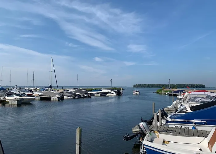In Erster Reihe - Direkter Strandzugang - Eingezäunter Garten - Dachterrasse - 2 Gartenterrassen - Terrassendach - Grill Mit Plancha - Xxl Meerblick - Bar - Sonos Soundanlage - Pool Whirlpool - Kinderfreundlich - Hunde Willkommen * Hulshorst